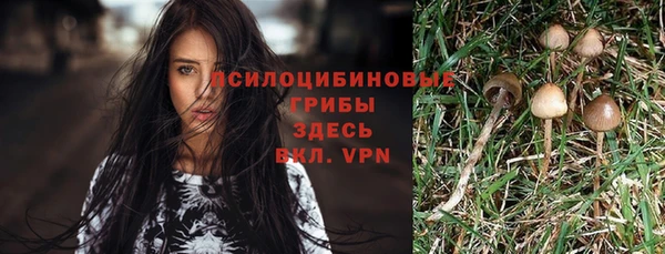 кокаин колумбия Алексин