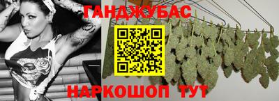Альфа ПВП Дубна