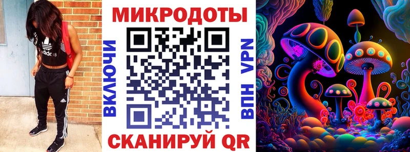 Галлюциногенные грибы мицелий  Осинники 