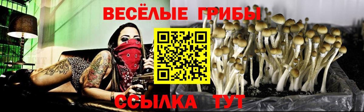Осинники  Псилоцибиновые грибы мухоморы  Галлюциногенные грибы Psilocybine cubensis  Вход с VPN 