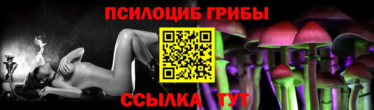 Галлюциногенные грибы прущие грибы Осинники